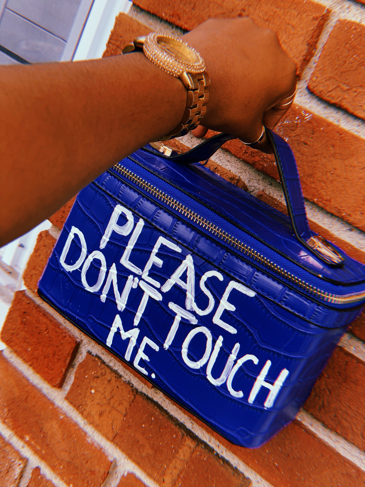 “Please Don’t Touch” vanity bag